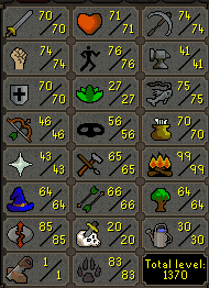 Elite Hardcore Ironman